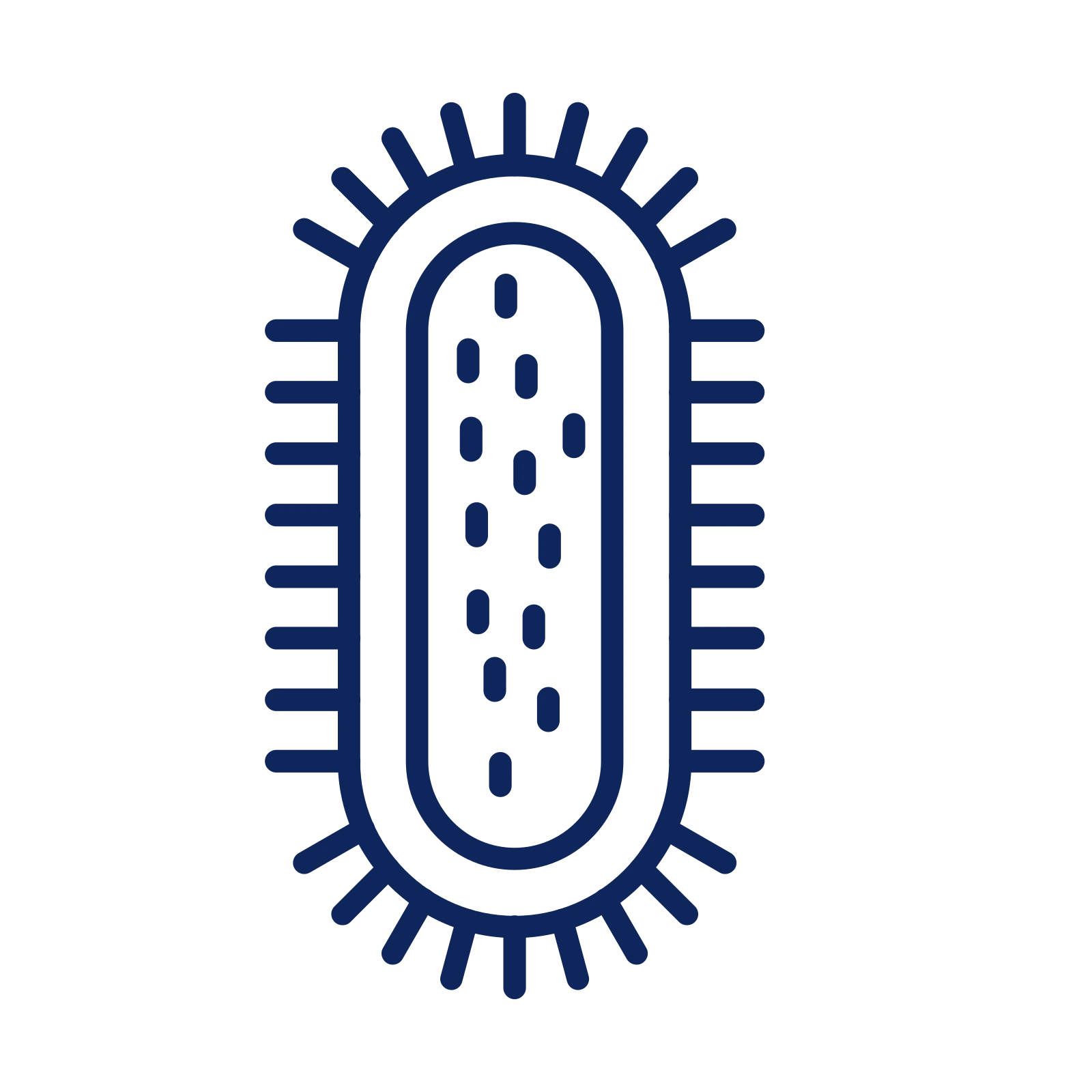 Legionellen